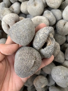 野生海参干货珍珠球参,一斤20头300元.一斤30头258元_阿里巴巴找货神