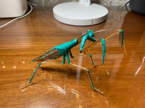 日本箱根玻璃博物馆带回,玻璃螳螂