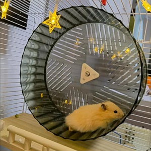 25cm支架仓鼠跑轮运动轮静音跑轮仓鼠静音跑轮金丝熊转轮大号