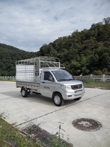 00eagle9sky淘宝五菱荣光新卡单排1.5l轻型仓栅式货车