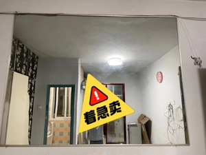 露朋企业店5淘宝壁挂柜一面墙镜子化妆镜壁挂客厅粘贴家用长方形