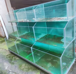 出手一个二手鱼缸,三层9缸,饭店,养殖贩卖,大闸蟹,鱼,都可