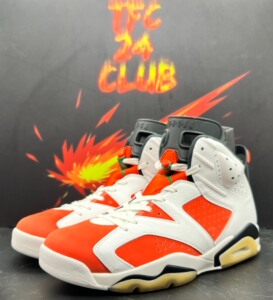 Nike Air Jordan 6 佳得乐