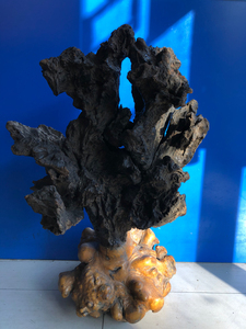 浪木根雕,老木雕摆件,松花江浪木