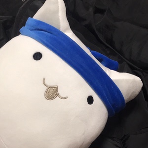 出 sq拉面猫 原价199 没什么用占地方就只好卖了 120