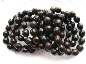 90555浪里淘沙淘宝双肾子野生选货石莲子铁莲子苦石莲菩提子500g可