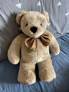 韩国济州泰迪熊