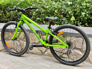 孩子大了,转让加拿大品牌norco 诺克 24寸storm款