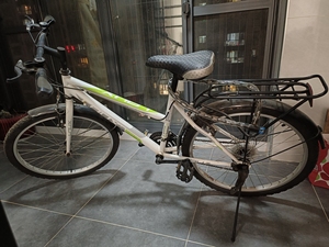 laux雷克斯自行车(比较适合女士骑),600多买的,然后一