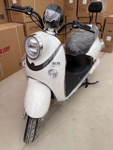 森地电动车全新未拆封  配天能 60伏/20安电池