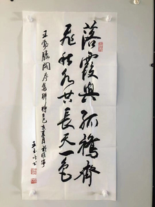 作者王玉吟老师,江苏省书法家