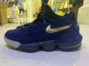 耐克lbj詹姆斯16low蓝黑42.5码篮球鞋titan a