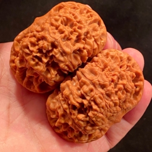 53矮桩闷尖麒麟纹王勇大官帽精品对文玩核桃纯手工打底 53