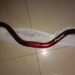 pagan固齿死飞动作燕把