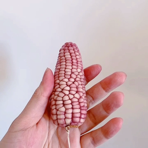 文玩玉米迷你小玉米,纯粉色,莫兰迪磨砂粉,图片视频为实拍满粒