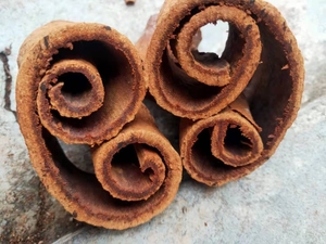 特级紫油桂,深山油桂,含油20%到30%0克22元,50