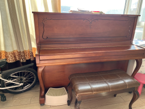 liu水样的青春淘宝【琴行搬迁】钢琴大处理英昌伯格曼b121钢琴初学