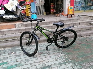 上海风凰l山地自行车，车况好，骑行省力。各项工作都正常。双蝶