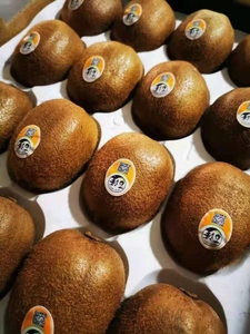 百泽猕猴桃20枚