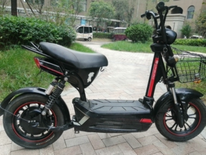 捷安特鑫天能133s电动车5块20a大电池