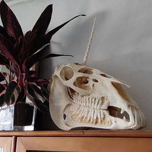 独角兽头骨(马头)标价为一个价 角和头骨分开寄 送胶水简单安