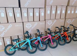 00tb105070742淘宝dinamo迪纳摩儿童自行车bmx小轮