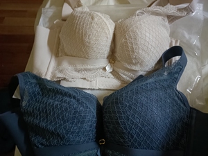 【纤黛尔文胸】纤黛尔文胸品牌,价格 - 阿里巴巴