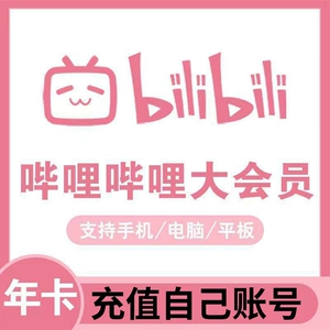 哔哩哔哩大会员一年12个月 b站会员bilibili大会员兑