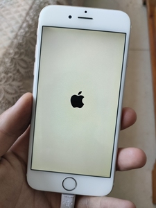 苹果6开机白苹果