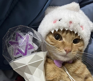 astro二代应援棒