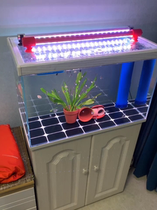 罗汉鱼专用鱼缸超白