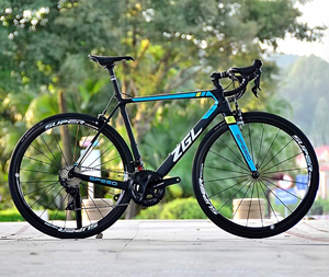 【整车】zgl crb36中国龙碳纤维公路车破风车架