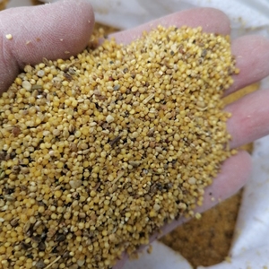 鸟食米,磨房色选米,成份有小米,草籽,杂谷.喂食各种鸟类适用