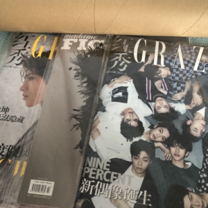 ninepercent杂志红秀