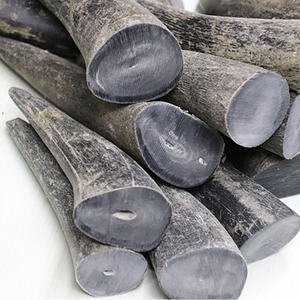 天然纯实心西藏黑牦牛角尖原料牛角刀柄材料三通佛头原料手把件料