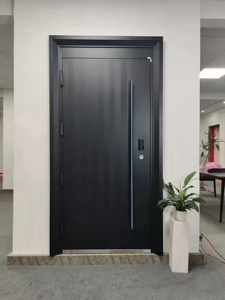 000人付款淘宝特价销售西州轻奢极简入户门防盗门装甲门,粉丝价5折