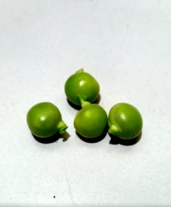 魔豆茶叶魔豆绿绿豆漂亮豆神仙豆安逸豆好吃豆