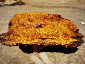 缅甸黄金樟极品货,爆满榴花