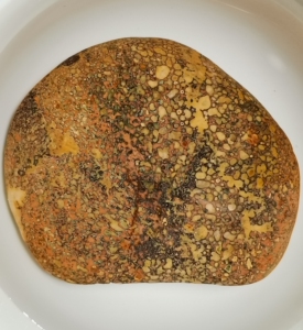 宜昌雨花石原石 大品玛瑙质多彩古生物化石 8.1*6.8*3