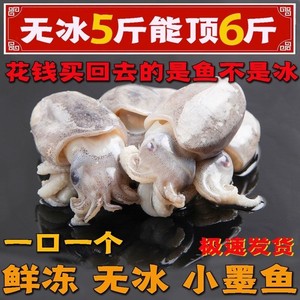 5斤无冰小墨鱼新鲜速冻海鲜鲜活乌贼鱼墨斗鱼目鱼墨鱼仔带墨汁海