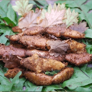 新鲜马骝姜野生骨碎补石毛姜过山龙石良姜毛生姜猴姜骨碎补批发