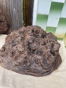 乌木树瘤,铁力木,阴沉木,树瘤,结巴,阴沉铁力木,古朴沧桑