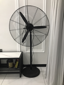 长城牌工业落地大风扇烧烤新房装修专用落地扇低价转让