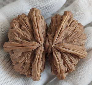 六棱文玩核桃