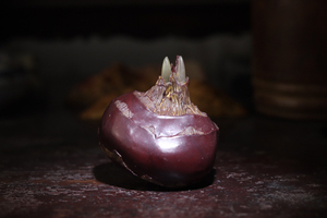 石雕马蹄,学名…荸荠