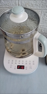 正品小熊养生壶家用1.5L小型花茶煮茶器多功能玻璃烧水煮茶壶