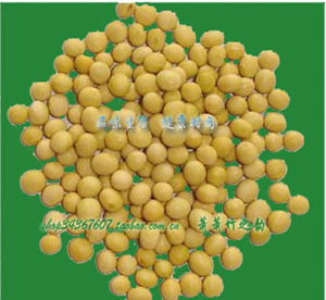 小粒黄豆:纳豆,豆浆,豆芽用黄豆 (东农690浓香/东北笨豆)