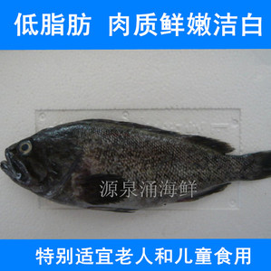 黑头鱼鲜活海鱼