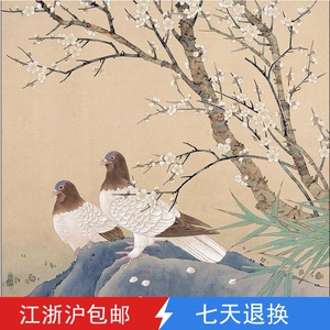 国画工笔画四尺斗方梅花鸽子成品纯手绘推荐茶楼装修办公宾馆包邮