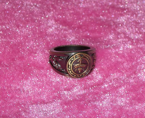 动漫周边 日本动漫 家庭教师 彭格列家族 戒指 指环